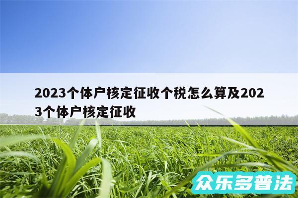 2024个体户核定征收个税怎么算及2024个体户核定征收