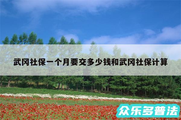 武冈社保一个月要交多少钱和武冈社保计算