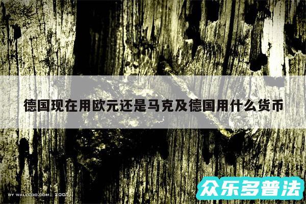 德国现在用欧元还是马克及德国用什么货币
