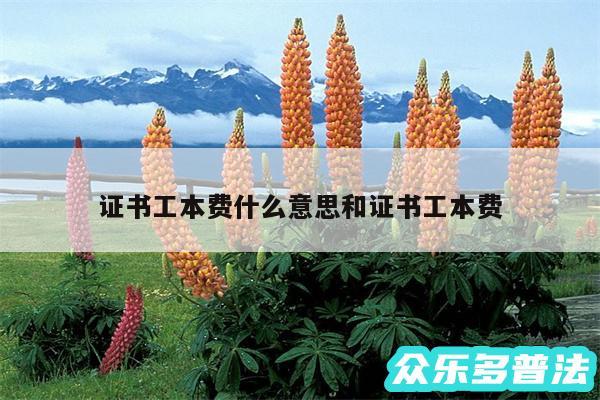 证书工本费什么意思和证书工本费