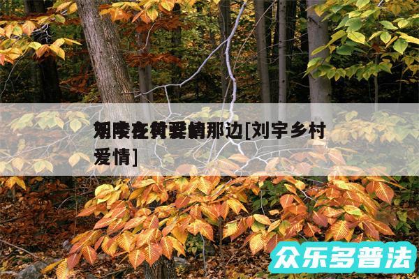 刘宇乡村爱情
乐陵在黄骅的那边及刘宇乡村爱情
