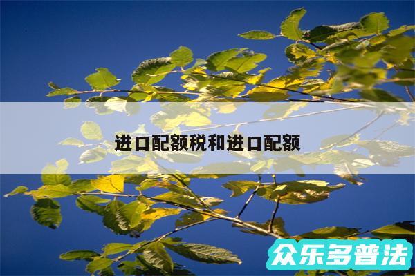 进口配额税和进口配额