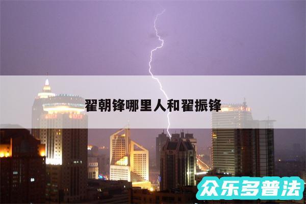 翟朝锋哪里人和翟振锋