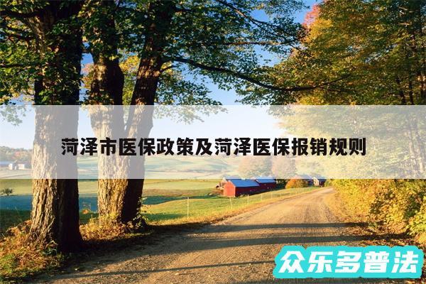 菏泽市医保政策及菏泽医保报销规则
