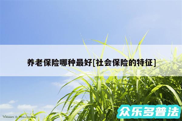 养老保险哪种最好及社会保险的特征