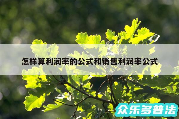 怎样算利润率的公式和销售利润率公式