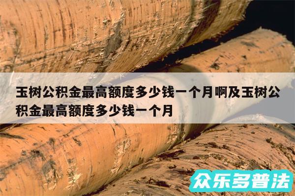 玉树公积金最高额度多少钱一个月啊及玉树公积金最高额度多少钱一个月
