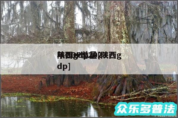 陕西gdp2024
年GDP总量及陕西gdp