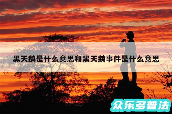 黑天鹅是什么意思和黑天鹅事件是什么意思