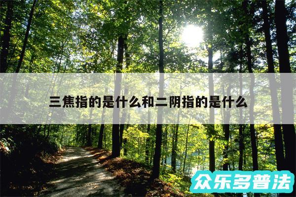 三焦指的是什么和二阴指的是什么
