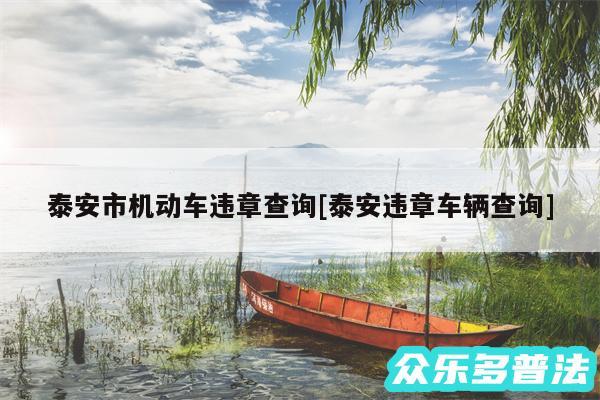 泰安市机动车违章查询及泰安违章车辆查询
