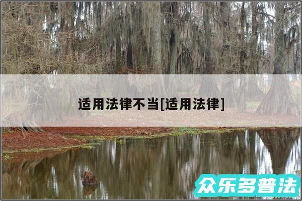 适用法律不当及适用法律
