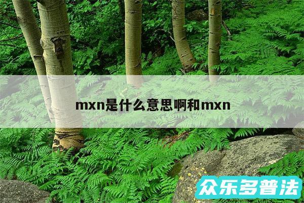 mxn是什么意思啊和mxn