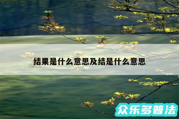 结果是什么意思及结是什么意思