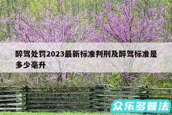 醉驾处罚2024最新标准判刑及醉驾标准是多少毫升