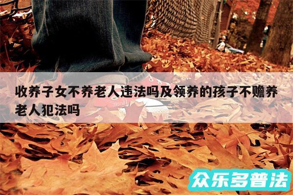 收养子女不养老人违法吗及领养的孩子不赡养老人犯法吗