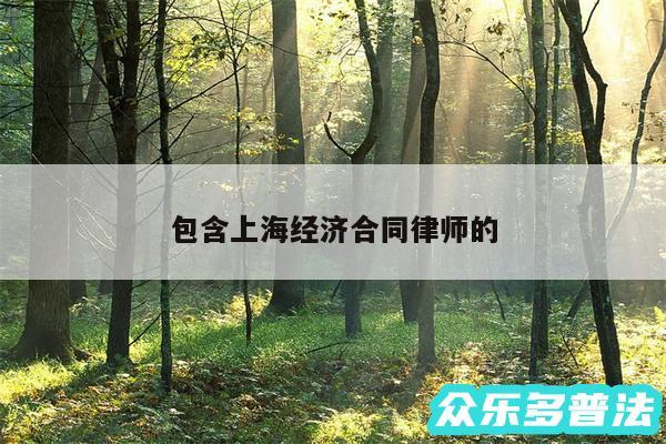 包含上海经济合同律师的