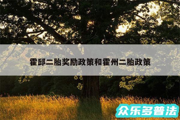 霍邱二胎奖励政策和霍州二胎政策