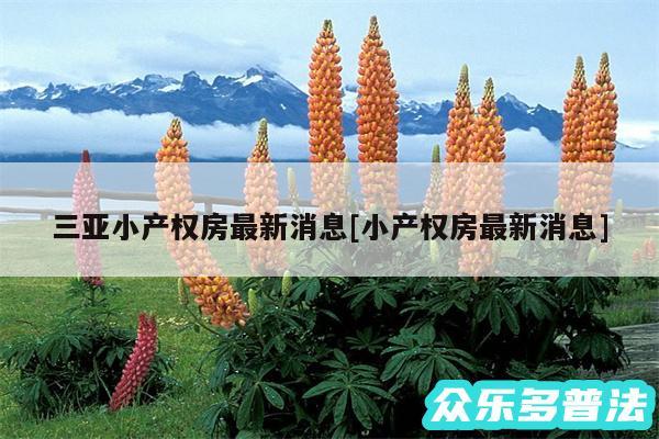 三亚小产权房最新消息及小产权房最新消息