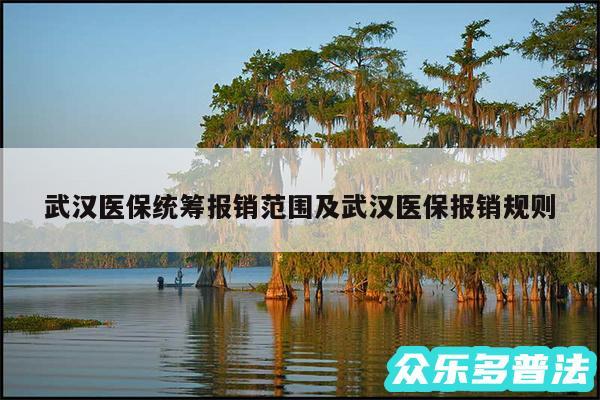 武汉医保统筹报销范围及武汉医保报销规则