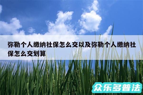 弥勒个人缴纳社保怎么交以及弥勒个人缴纳社保怎么交划算