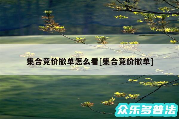 集合竞价撤单怎么看及集合竞价撤单