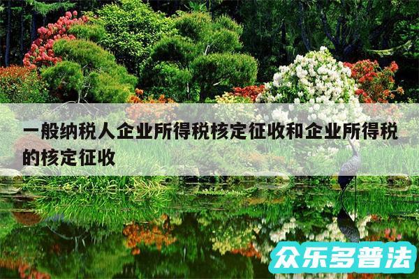 一般纳税人企业所得税核定征收和企业所得税的核定征收