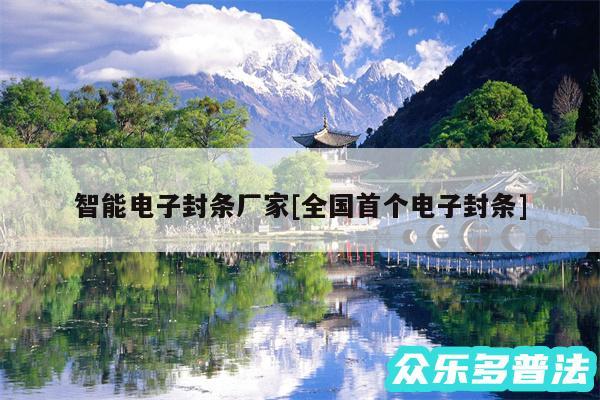 智能电子封条厂家及全国首个电子封条