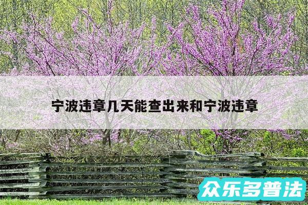 宁波违章几天能查出来和宁波违章