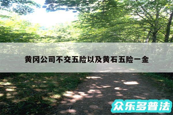 黄冈公司不交五险以及黄石五险一金