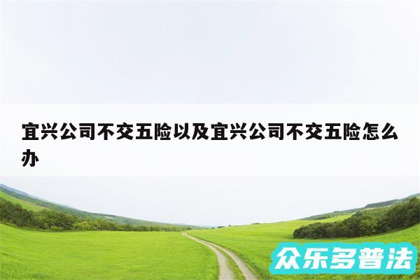 宜兴公司不交五险以及宜兴公司不交五险怎么办