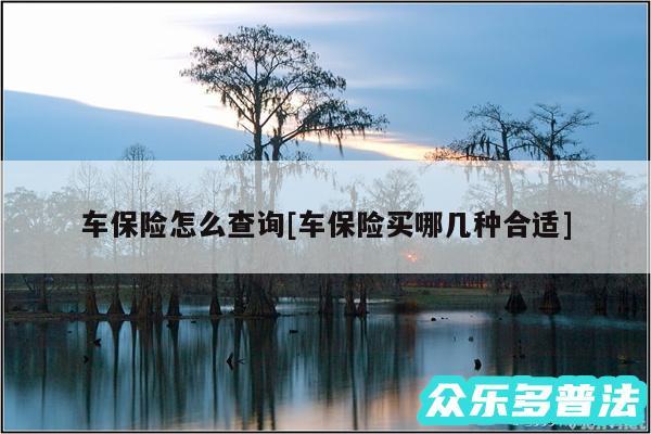 车保险怎么查询及车保险买哪几种合适