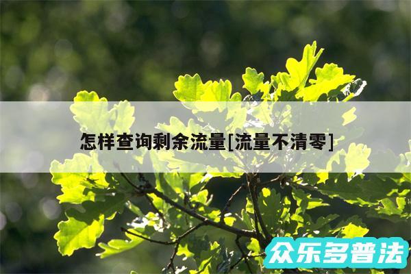怎样查询剩余流量及流量不清零