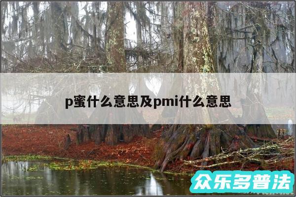 p蜜什么意思及pmi什么意思