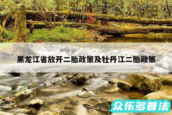 黑龙江省放开二胎政策及牡丹江二胎政策