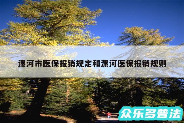 漯河市医保报销规定和漯河医保报销规则