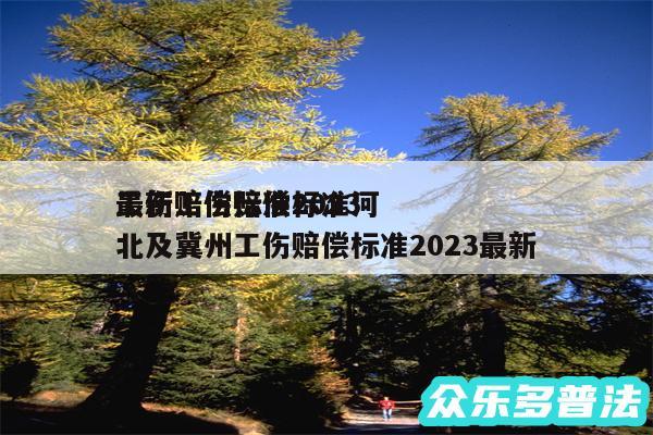 工伤赔偿标准2024
最新工伤赔偿标准河北及冀州工伤赔偿标准2024最新