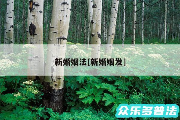 新婚姻法及新婚姻发