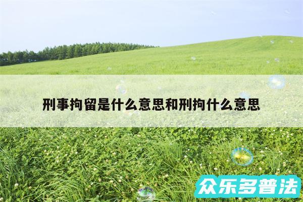 刑事拘留是什么意思和刑拘什么意思