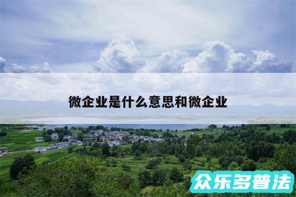 微企业是什么意思和微企业