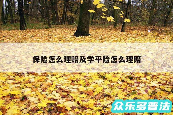 保险怎么理赔及学平险怎么理赔