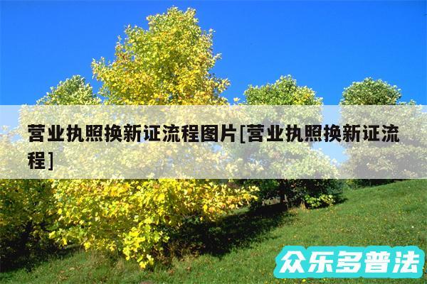 营业执照换新证流程图片及营业执照换新证流程