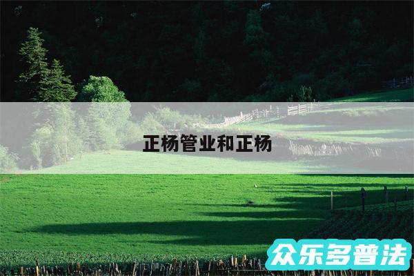 正杨管业和正杨
