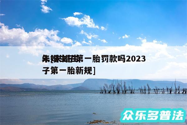 未婚生子第一胎罚款吗2024年及未婚生子第一胎新规
