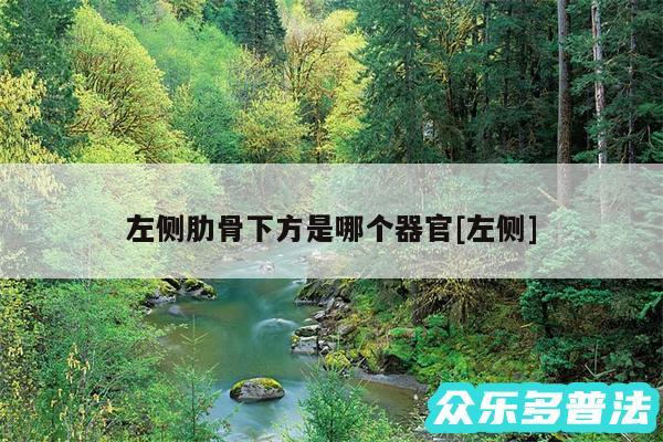 左侧肋骨下方是哪个器官及左侧