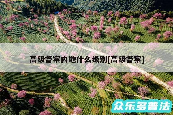 高级督察内地什么级别及高级督察
