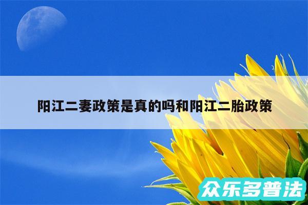 阳江二妻政策是真的吗和阳江二胎政策