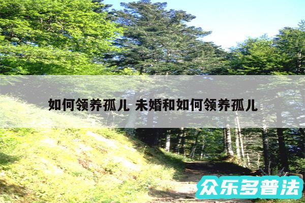 如何领养孤儿 未婚和如何领养孤儿
