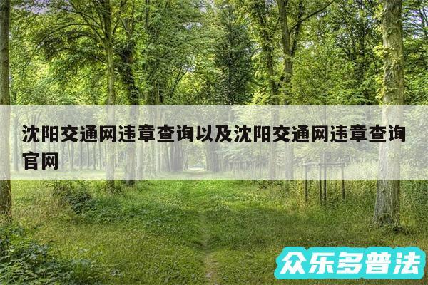 沈阳交通网违章查询以及沈阳交通网违章查询官网
