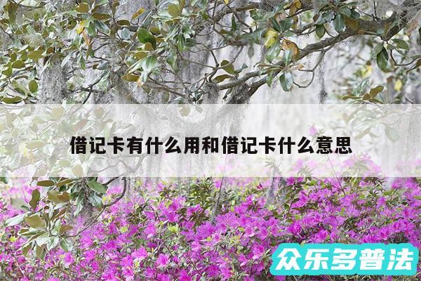 借记卡有什么用和借记卡什么意思